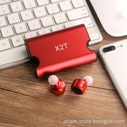 Double Earbuds With Charger